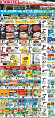 Pioneer (valid until 18-06)