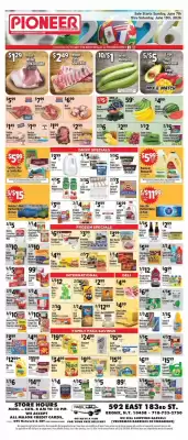 Pioneer (valid until 13-06)