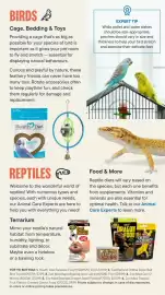 Petvalu flyer Page 17