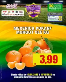 Catálogo Violeta Supermercados Página 6