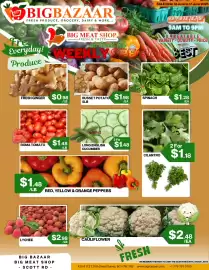 Big Bazaar Canada flyer week 24 Page 1