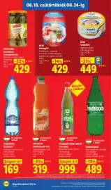 Lidl akciós újság hét 25 Oldal 10