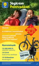 Lidl akciós újság hét 25 Oldal 15