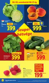 Lidl akciós újság hét 25 Oldal 50