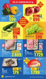 Lidl akciós újság hét 25 Oldal 66