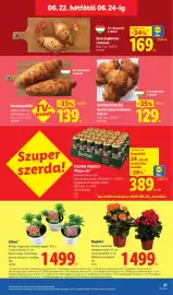 Lidl akciós újság hét 25 Oldal 67