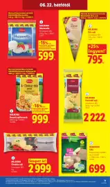 Lidl akciós újság hét 25 Oldal 71