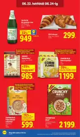 Lidl akciós újság hét 25 Oldal 74