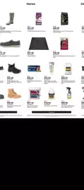 Tractor Supply Company weekly ad week 24 Page 2