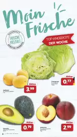 Famila Nord West Prospekt woche 25 Seite 4