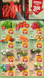 REWE Prospekt woche 25 Seite 11