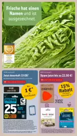 REWE DE tilbudsavis uge 25 Side 29