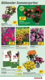 Toom Baumarkt Prospekt woche 24 Seite 5