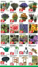 Wreesmann Prospekt Seite 3