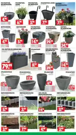 Wreesmann Prospekt Seite 6
