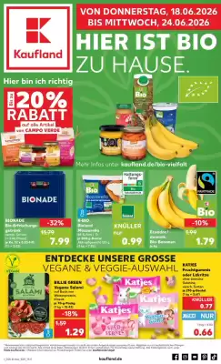 Kaufland (gültig bis 24-06)