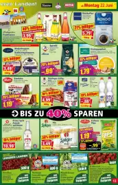 Norma Prospekt woche 26 Seite 13