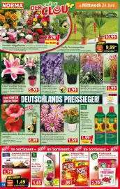 Norma Prospekt woche 26 Seite 14