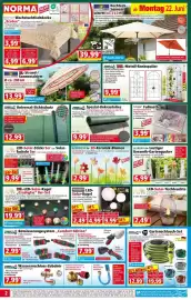 Norma Prospekt woche 26 Seite 2