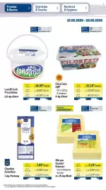 METRO Prospekt woche 25 Seite 15