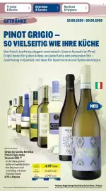 METRO Prospekt woche 25 Seite 36