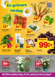 City Gross reklamblad vecka 25 Sida 5