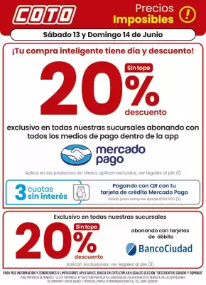 Coto (válido hasta 14-06)