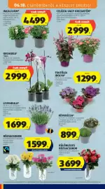 ALDI akciós újság hét 25 Oldal 34
