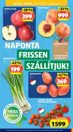 ALDI akciós újság hét 25 Oldal 37
