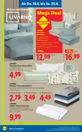 Lidl Flugblatt woche 25 Seite 30