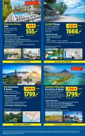 Lidl Flugblatt woche 25 Seite 36