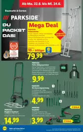 Lidl Flugblatt woche 25 Seite 41