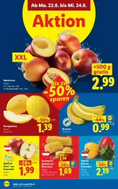Lidl Flugblatt woche 25 Seite 47