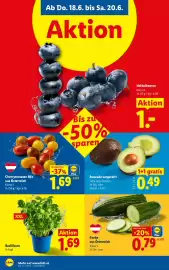 Lidl Flugblatt woche 25 Seite 8