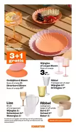Kwantum folder Pagina 8