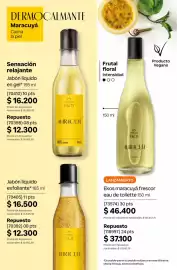 Catálogo Natura Página 207