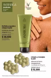 Catálogo Natura Página 211