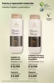 Catálogo Natura Página 250