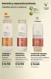 Catálogo Natura Página 258