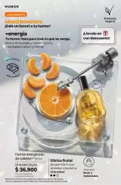 Catálogo Natura Página 66