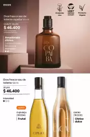 Catálogo Natura Página 93