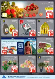 Edeka Prospekt Seite 9