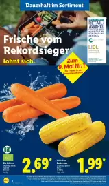 Lidl Prospekt Seite 2