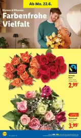 Lidl Prospekt Seite 72