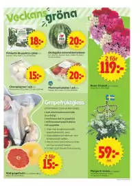 ICA Supermarket reklamblad vecka 25 Sida 7