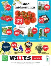 Willys Hemma reklamblad vecka 25 Sida 6
