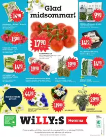 Willys Hemma reklamblad vecka 25 Sida 6