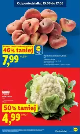 Lidl gazetka Strona 13