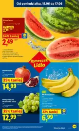 Lidl gazetka Strona 33