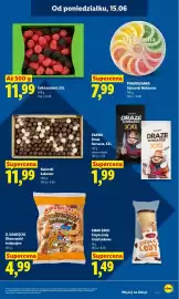 Lidl gazetka Strona 53